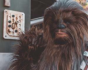 Star Wars Character Chewbacca