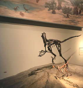 Raptor Dinasaur