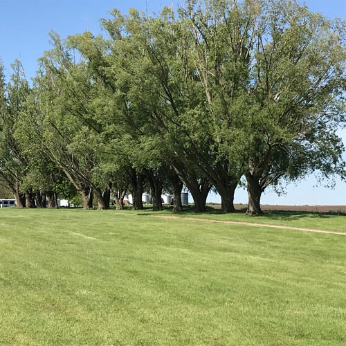 Colo, Iowa Golf Course Landscape
