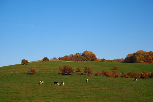 Photo of countryside